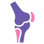 Meno Joint Support System