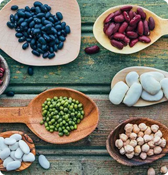 Meno Detox System