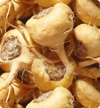 __Over 30 Hormone Support__