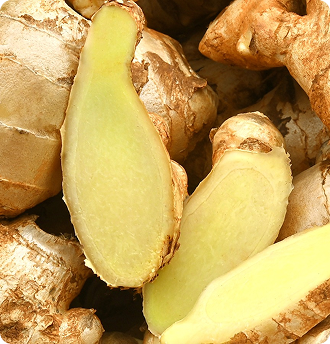 Meno Detox System