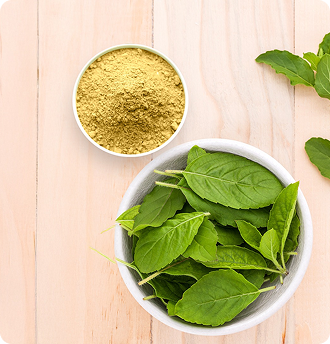 Meno Detox System