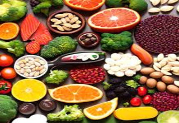 Meno Shred Fat Burner